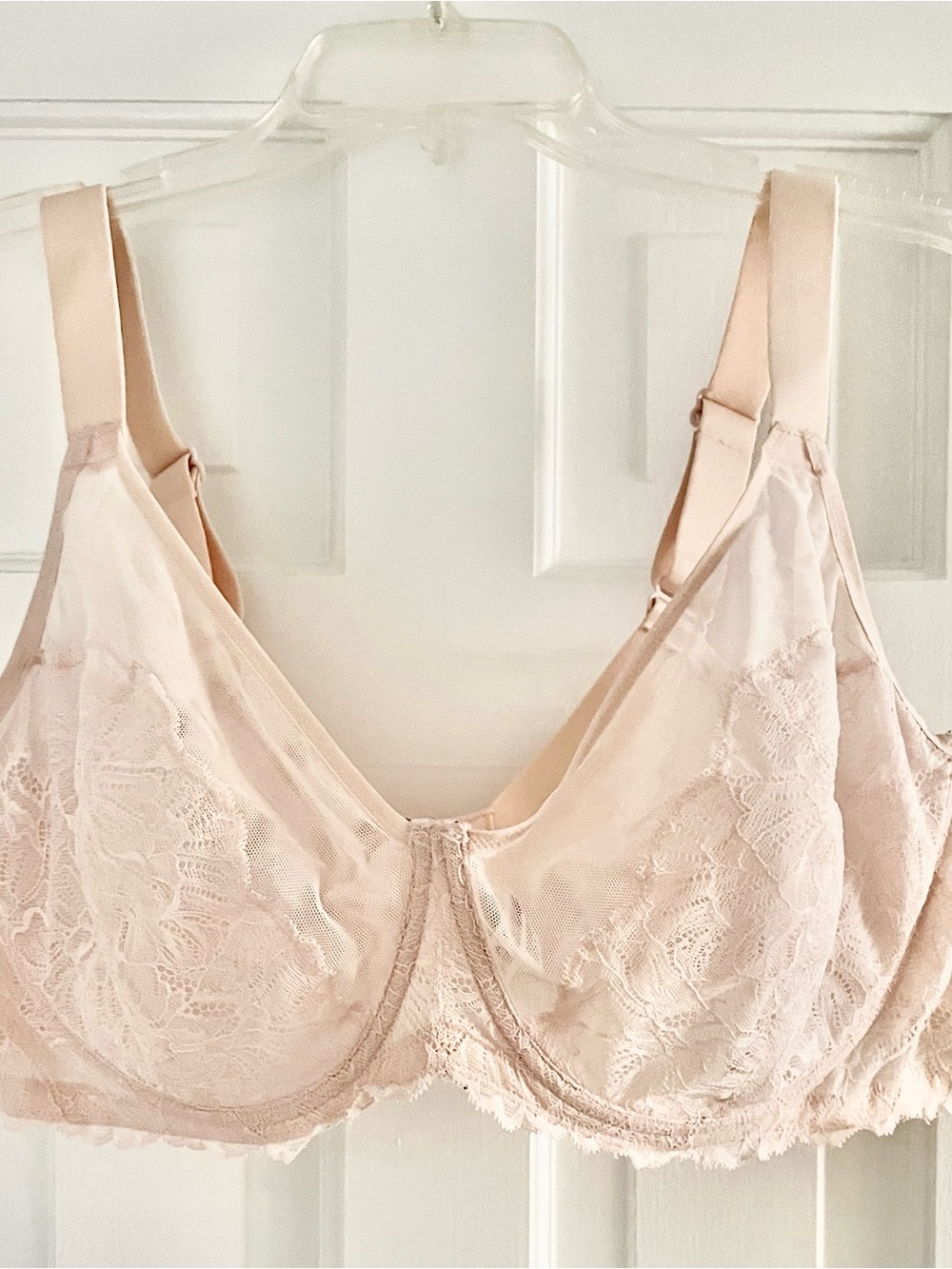 Soft Lace Full-Coverage Bra in Blush Pink 44DD